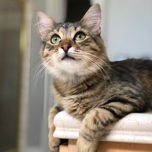 Meet your Posher, Nathan